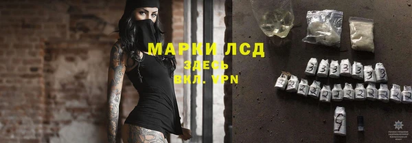 индика Белоозёрский