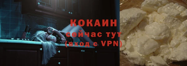 тгк Белокуриха
