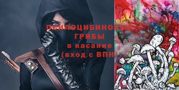 тгк Белокуриха