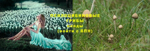 альфа пвп Богородицк