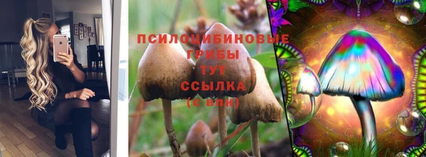 индика Белоозёрский