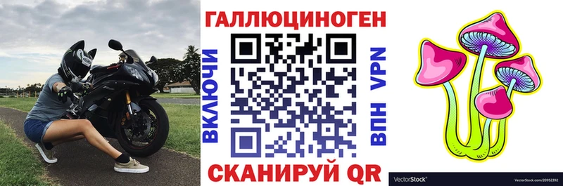 Псилоцибиновые грибы прущие грибы  Обь 