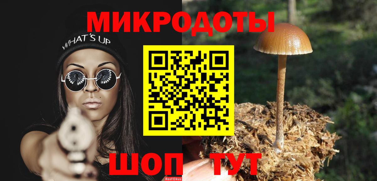 Псилоцибиновые грибы Psilocybe Обь