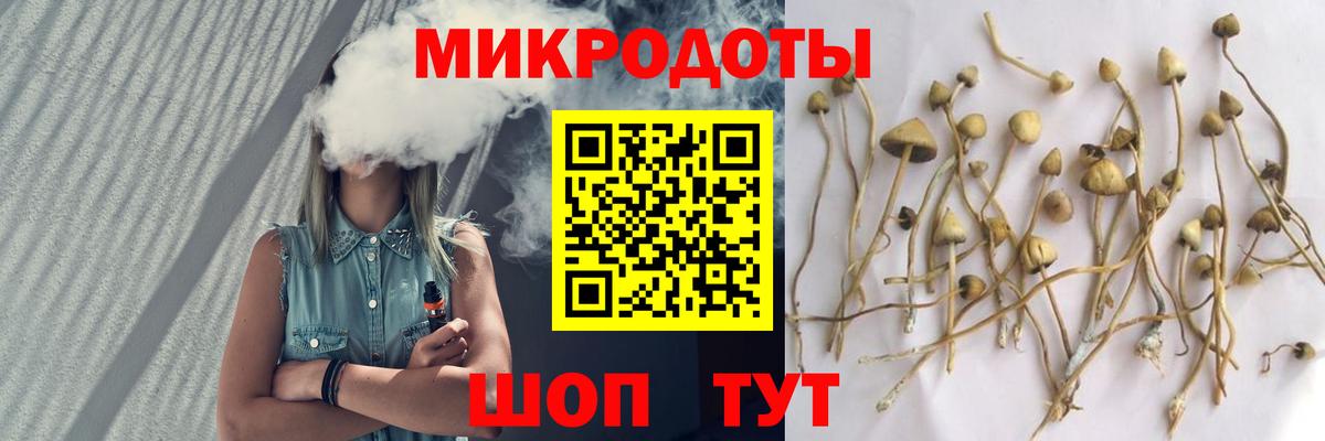Обь  Псилоцибиновые грибы прущие грибы  Вход с VPN  Галлюциногенные грибы GOLDEN TEACHER 